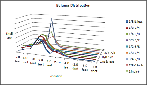Balanus Distribution 2